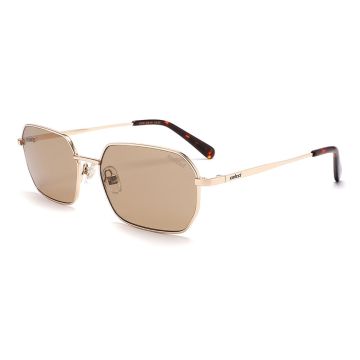 Óculos Colcci C0281e10an Dourado Brilho Lente Marrom