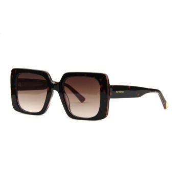 Óculos de Sol Ana Hickmann Ah90012 G21 Marrom Brilho Tartaruga Lente Marrom Degradê 