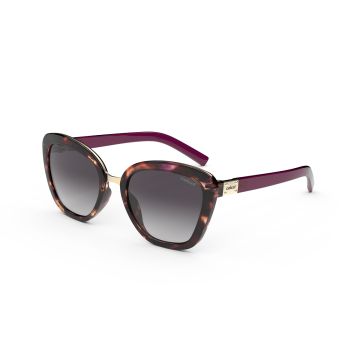 Óculos Colcci Ceu C0186ff533 Violeta Translúcido Demi Lente Cinza Degradê