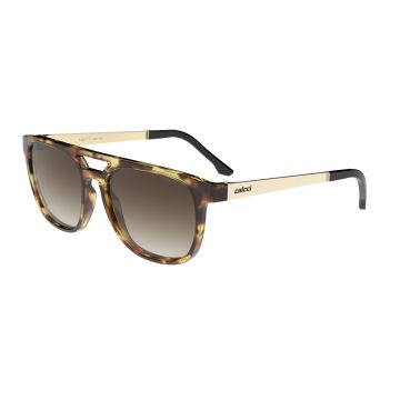 Óculos Colcci Apolo C0224f4134 Amarelo Translúcido Demi Lente Marrom Degradê