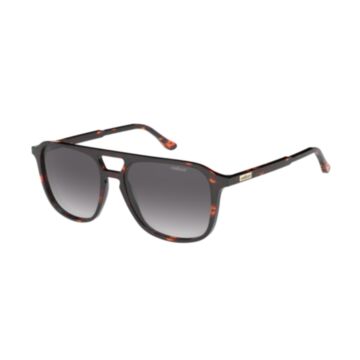 Óculos Solar Colcci Hunter C0319f2133 Marrom Brilho Demi Lente Cinza Degradê cat1 - Marrom
