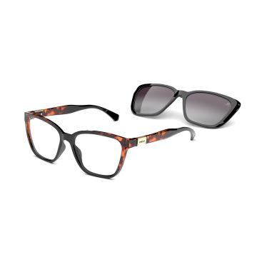 Armação Óculos Colcci Bandy 3 C6149a3157 Demi Marrom Preto Clip-On Polarizado