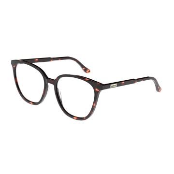 Armação Colcci Livia C6204f4755 Marrom Brilho Demi