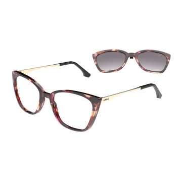 Armação Colcci Bandy 4 Y C6272fa552 Marrom Brilho Demi