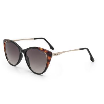 Óculos Colcci Valentina C0123afr34 Marrom Brilho Demi Lente Marrom Degradê