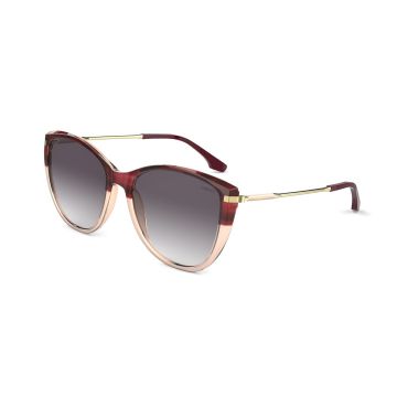 Óculos Colcci Tati C0166fg233 Demi Bordo Lente Cinza Degrade