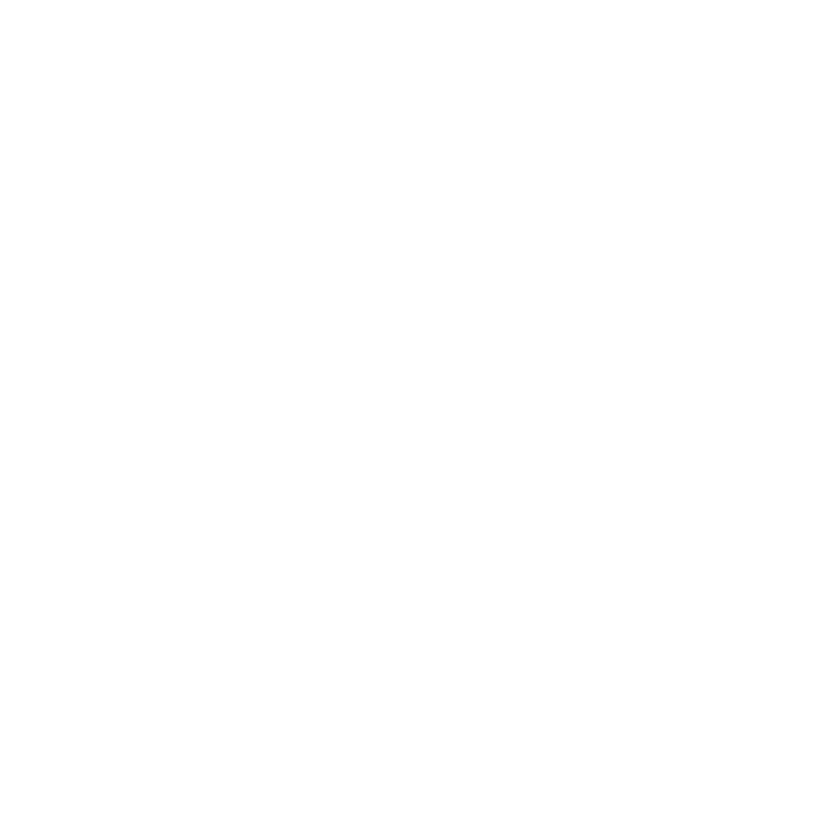 Ana Hickmann