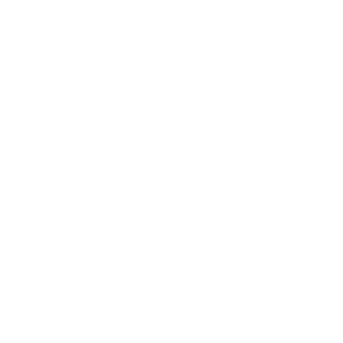 Polaroid