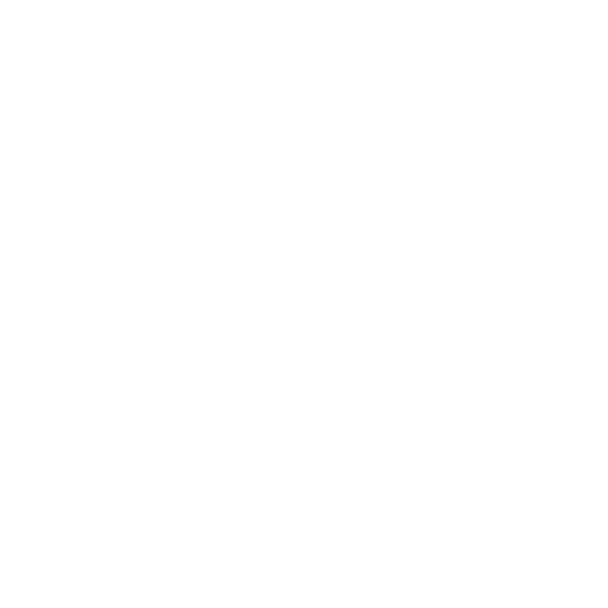 Speedo